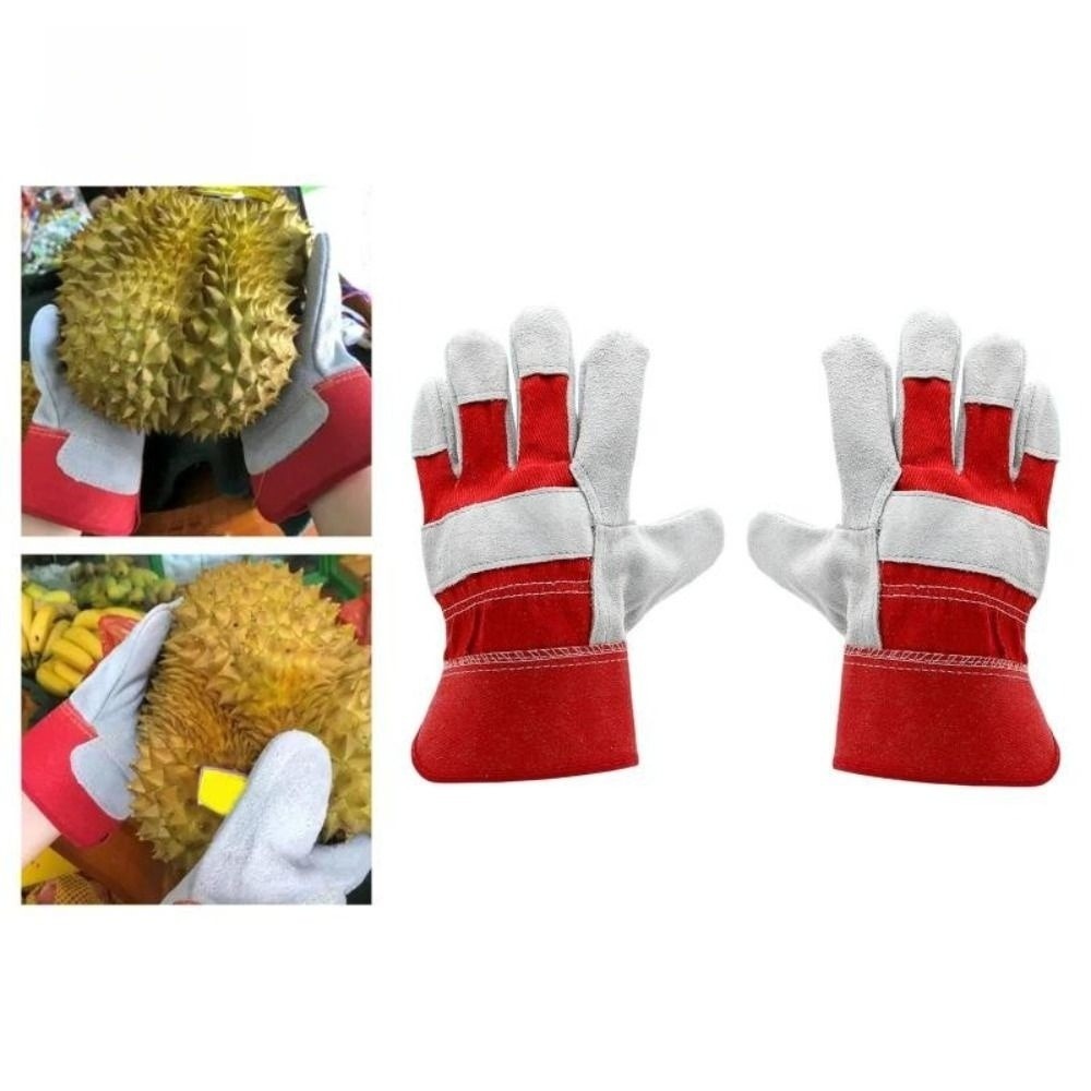 Sarung Tangan Berkebun Kulit S - Cut Resistant Glove ulasan dan harga